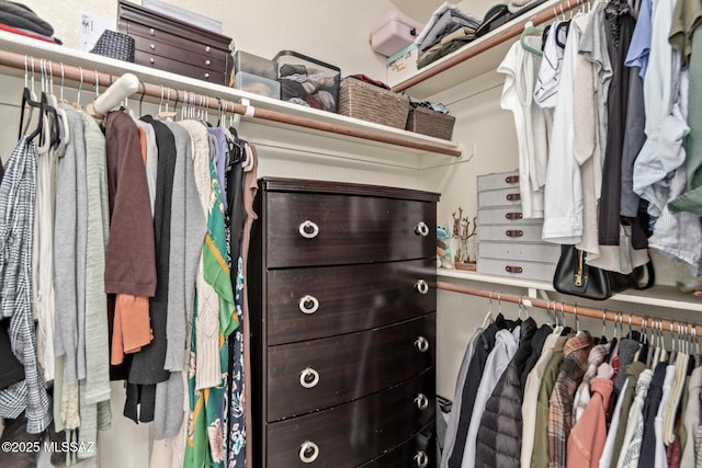 view of walk in closet