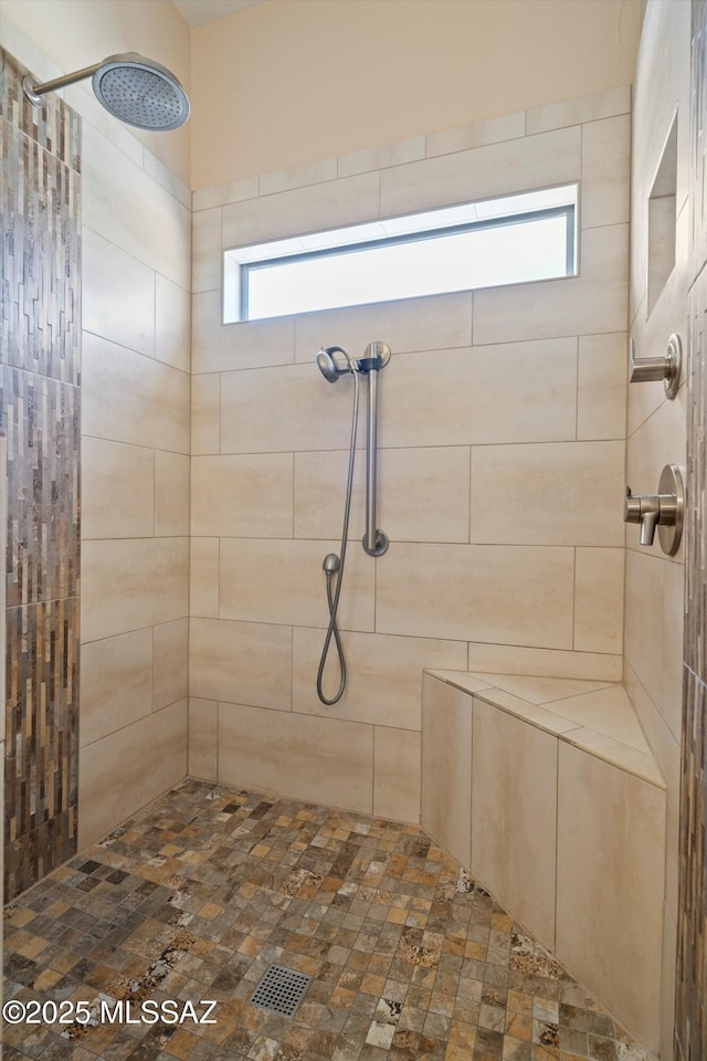 37561 S Desert Sun Dr, Saddlebrooke, AZ 85739 - full bath with a tile shower