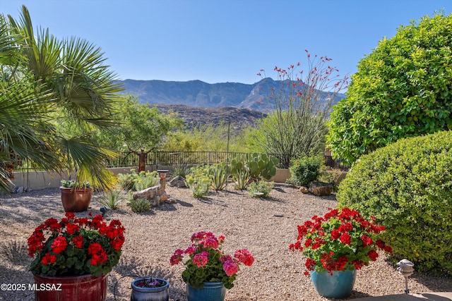 37561 S Desert Sun Dr, Saddlebrooke, AZ 85739 - view of yard featuring a mountain view and fence