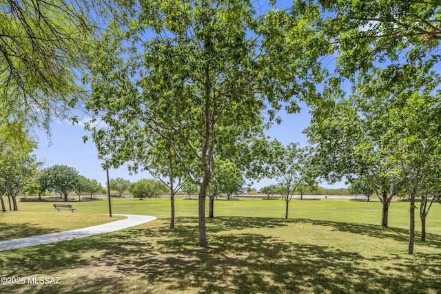 view of property's community with a yard