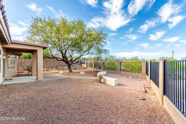 view of yard featuring a patio and a fenced backyard