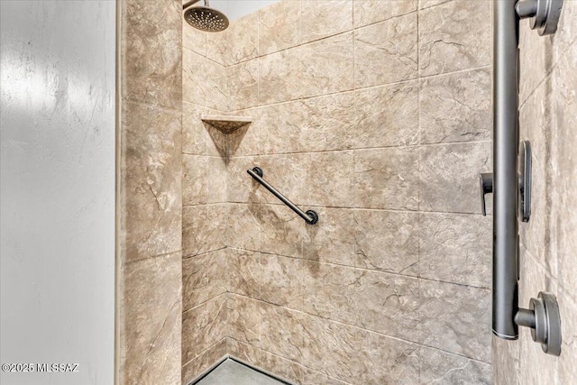 3156 S Three D Ct, Tucson, AZ 85713 - detailed view of tiled shower