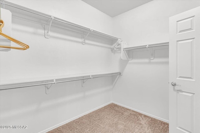 3156 S Three D Ct, Tucson, AZ 85713 - walk in closet with carpet