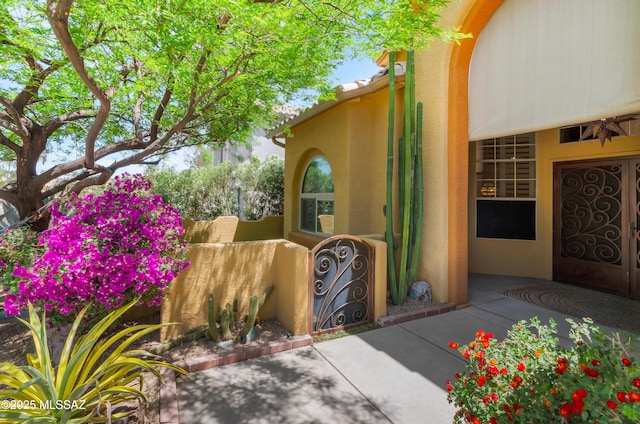 view of exterior entry with stucco siding