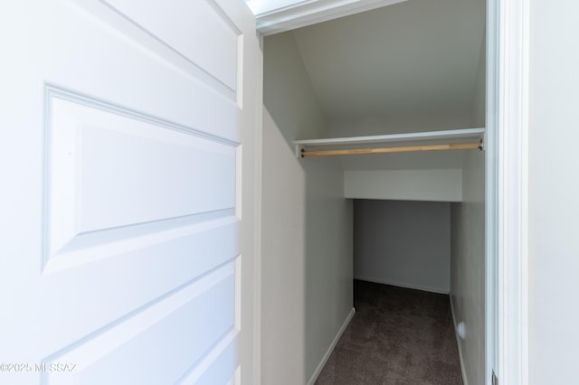 walk in closet featuring dark colored carpet