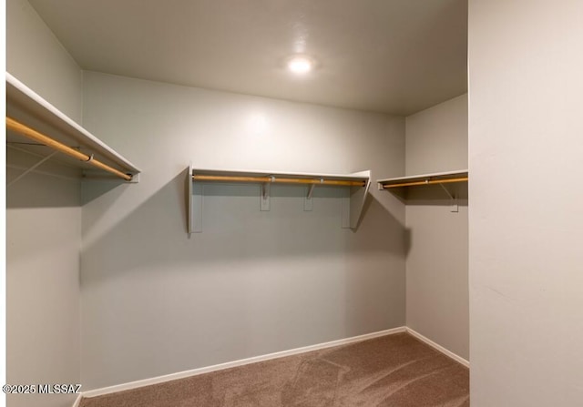 spacious closet with carpet floors