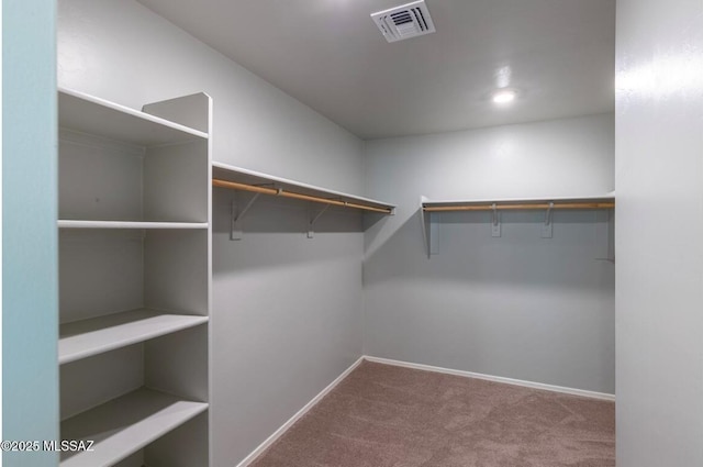 walk in closet featuring visible vents and carpet