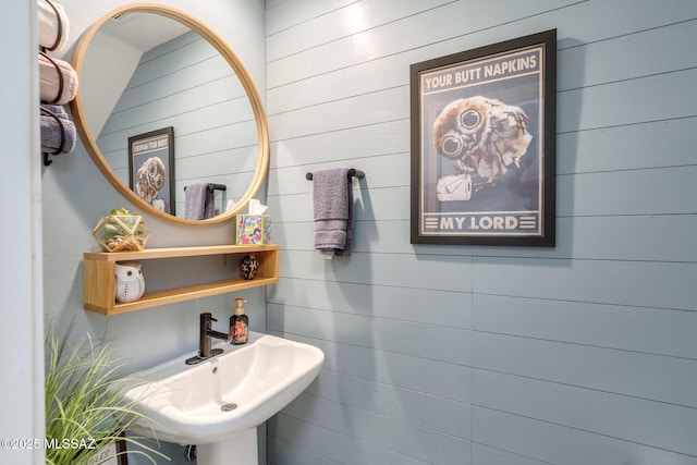 894 E Prairie Field Ln, Sahuarita, AZ 85629 - bathroom with wood walls and a sink