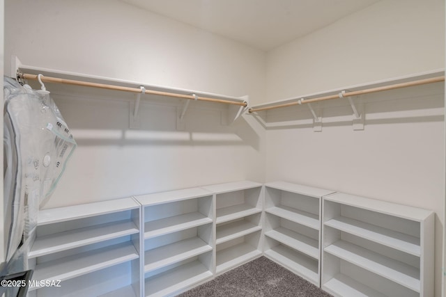 894 E Prairie Field Ln, Sahuarita, AZ 85629 - walk in closet with carpet floors