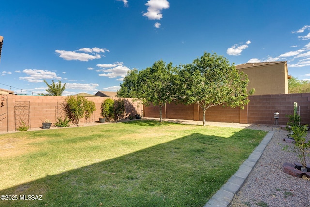 894 E Prairie Field Ln, Sahuarita, AZ 85629 - view of yard