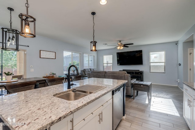 894 E Prairie Field Ln, Sahuarita, AZ 85629 - kitchen with a sink, stainless steel dishwasher, healthy amount of natural light, and ceiling fan