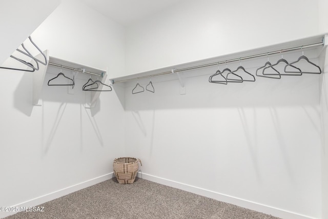 walk in closet featuring carpet flooring