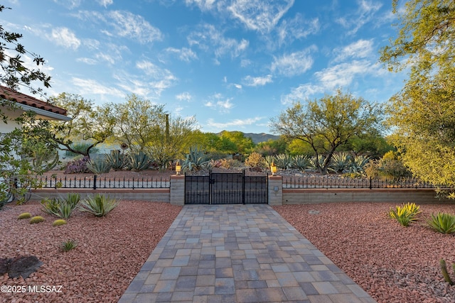 view of gate featuring a mountain view and a fenced front yard
