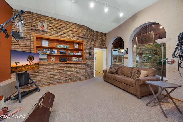 living area with track lighting and carpet
