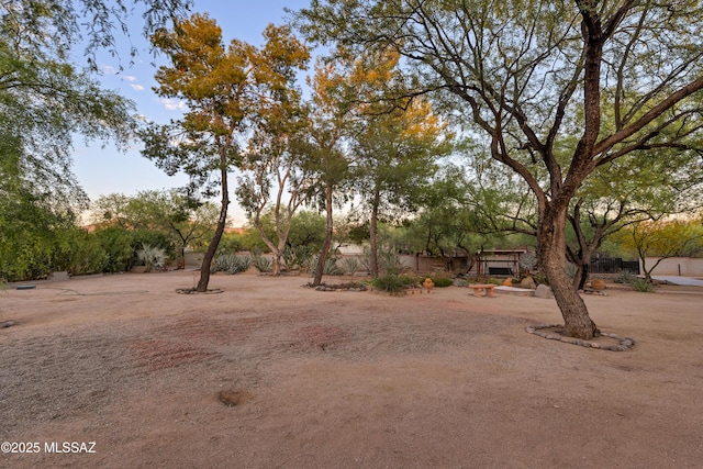 view of yard