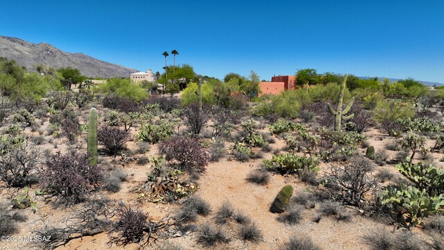 6141 N Calle De La Culebra Unit 280, Tucson, AZ 85718