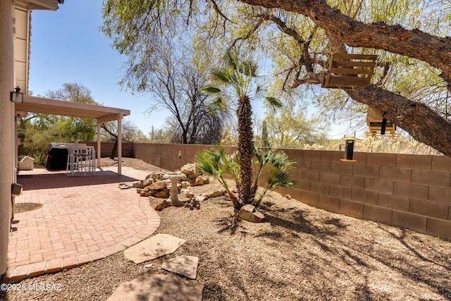 view of yard featuring a fenced backyard and a patio