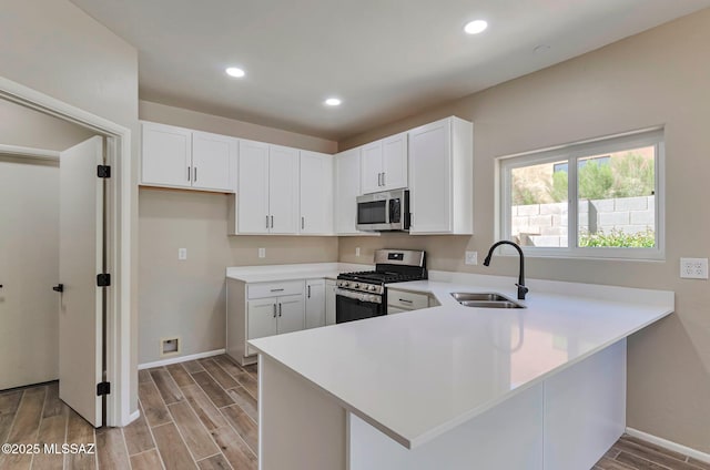 9290 N Jessy Ln, Tucson, AZ 85742 - kitchen featuring a sink, a peninsula, stainless steel appliances, and baseboards