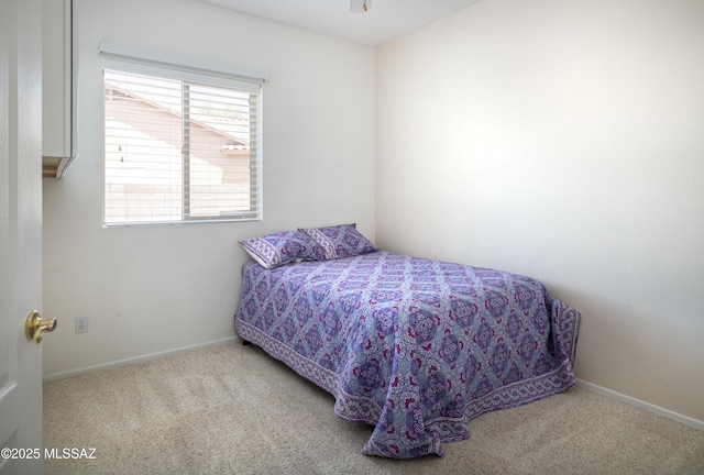 2377 W Catalina View Dr, Tucson, AZ 85742 - bedroom featuring carpet and baseboards