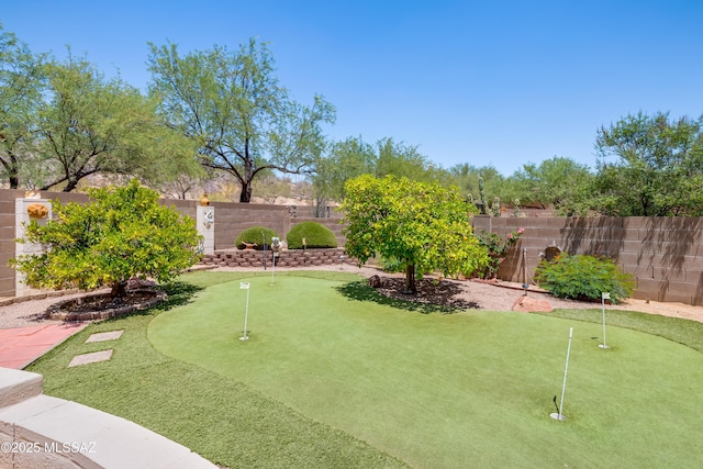 2377 W Catalina View Dr, Tucson, AZ 85742 - fenced backyard with a putting area