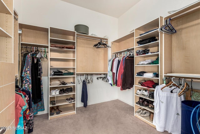60621 E Eagle Heights Dr, Tucson, AZ 85739 - walk in closet featuring carpet