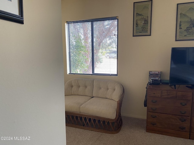 1208 E Flynn Jans Ct, Pearce, AZ 85625 - living area featuring carpet