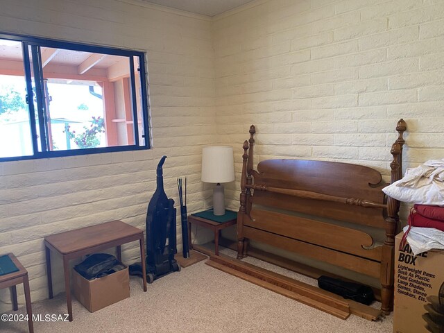 1208 E Flynn Jans Ct, Pearce, AZ 85625 - miscellaneous room featuring carpet flooring