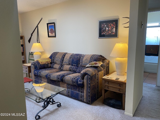 1208 E Flynn Jans Ct, Pearce, AZ 85625 - view of carpeted living area