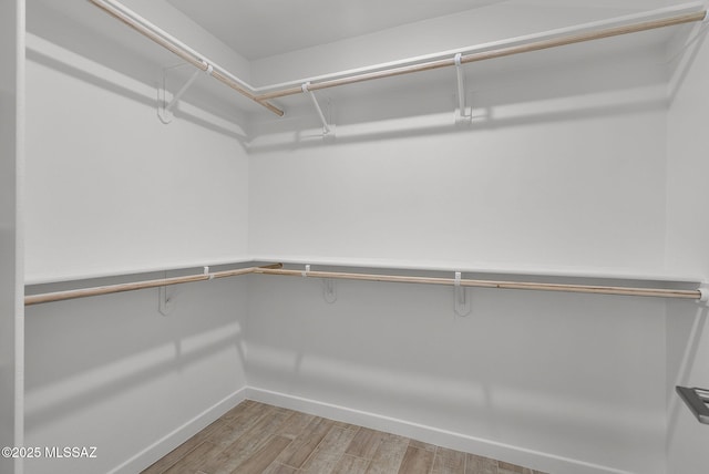 172 Vereda Cabrilla Ln, Rio Rico, AZ 85648 - walk in closet with light wood-style flooring