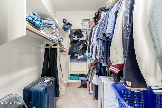 5498 N Desert Wood Pl, Tucson, AZ 85745 - spacious closet with carpet floors and radiator