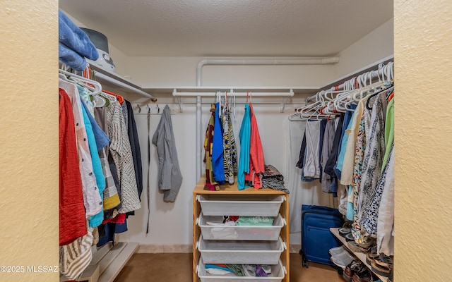view of spacious closet