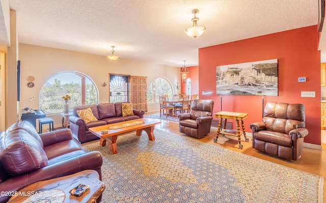 living room featuring baseboards, a textured ceiling, and wood finished floors