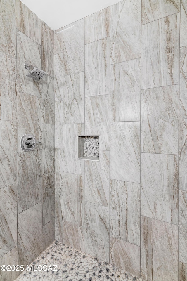 3000 S Smokin Pistol Way, Tucson, AZ 85713 - bathroom featuring a tile shower