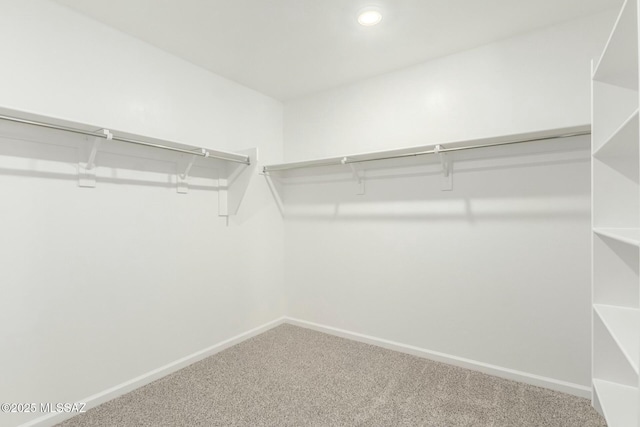 walk in closet featuring carpet floors