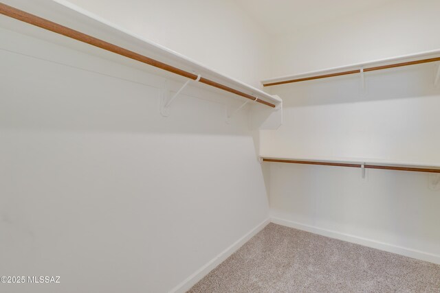 spacious closet with carpet