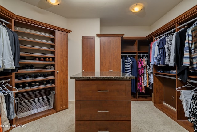 view of walk in closet