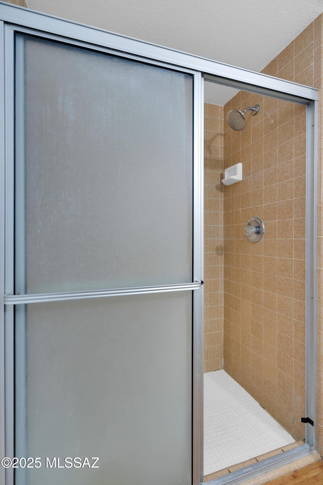 bathroom with a shower stall