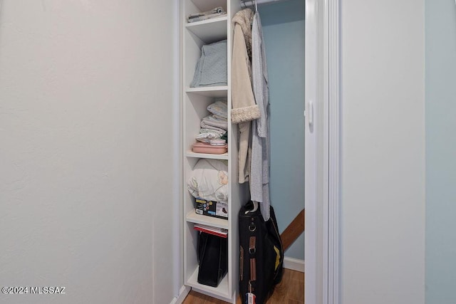 view of closet