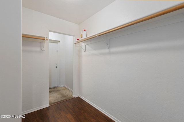 walk in closet featuring dark wood-type flooring