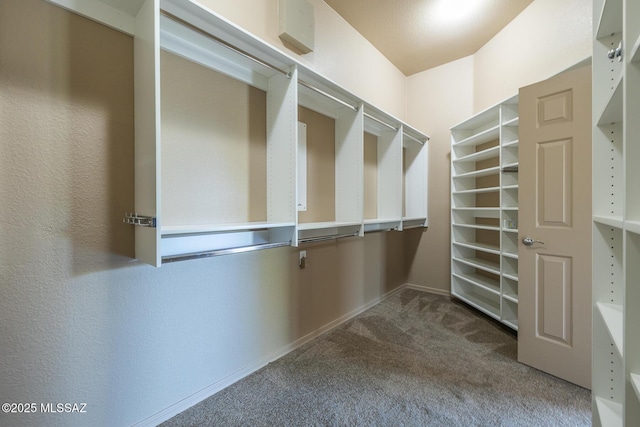 walk in closet featuring carpet floors