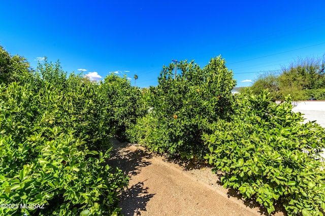 view of nature