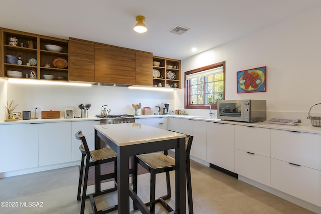2626 E 4th St, Tucson, AZ 85716 - kitchen with visible vents, open shelves, appliances with stainless steel finishes, and modern cabinets