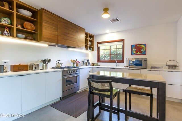 2626 E 4th St, Tucson, AZ 85716 - kitchen featuring visible vents, open shelves, modern cabinets, and stainless steel appliances