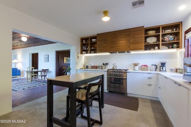 2626 E 4th St, Tucson, AZ 85716 - kitchen with visible vents, modern cabinets, open shelves, light countertops, and stainless steel range