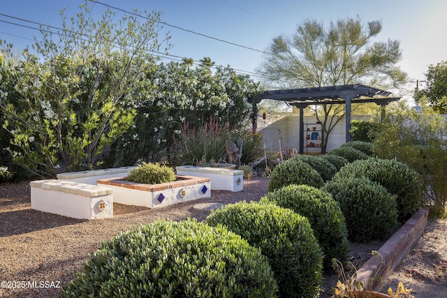 2626 E 4th St, Tucson, AZ 85716 - view of yard