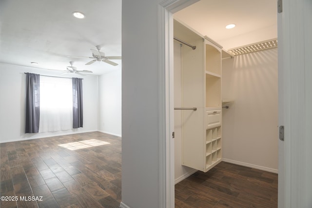 1025 N Perry Ave, Tucson, AZ 85705 - spacious closet with ceiling fan and dark wood-style flooring