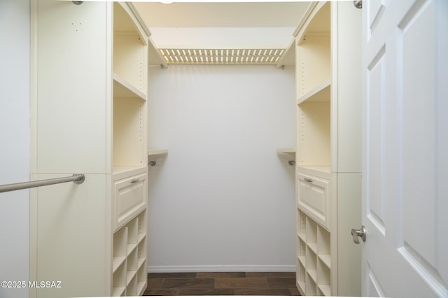 1025 N Perry Ave, Tucson, AZ 85705 - walk in closet with wood tiled floor