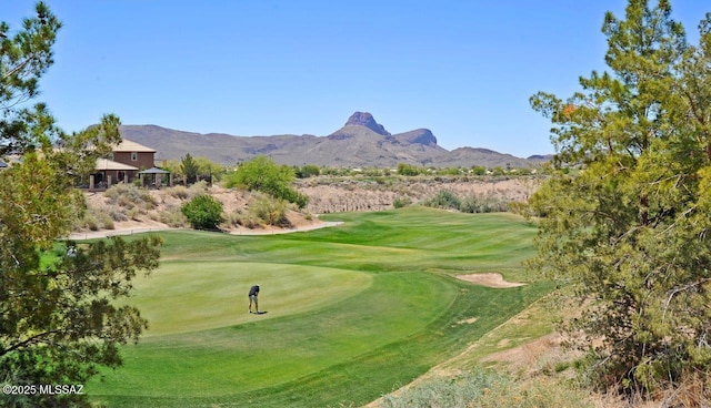 8573 N Western Juniper Ter, Tucson, AZ 85743 - surrounding community with a mountain view and golf course view