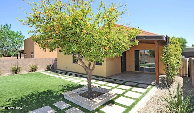 8573 N Western Juniper Ter, Tucson, AZ 85743 - back of property featuring fence, stucco siding, a patio area, a yard, and a tile roof