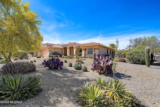 1040 W Stargazer Pl, Oro Valley, AZ 85737 - mediterranean / spanish-style house featuring a tiled roof and stucco siding